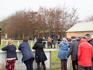 AK181121-36 - Sarsen